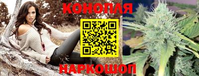 прущие крисы Кулебаки