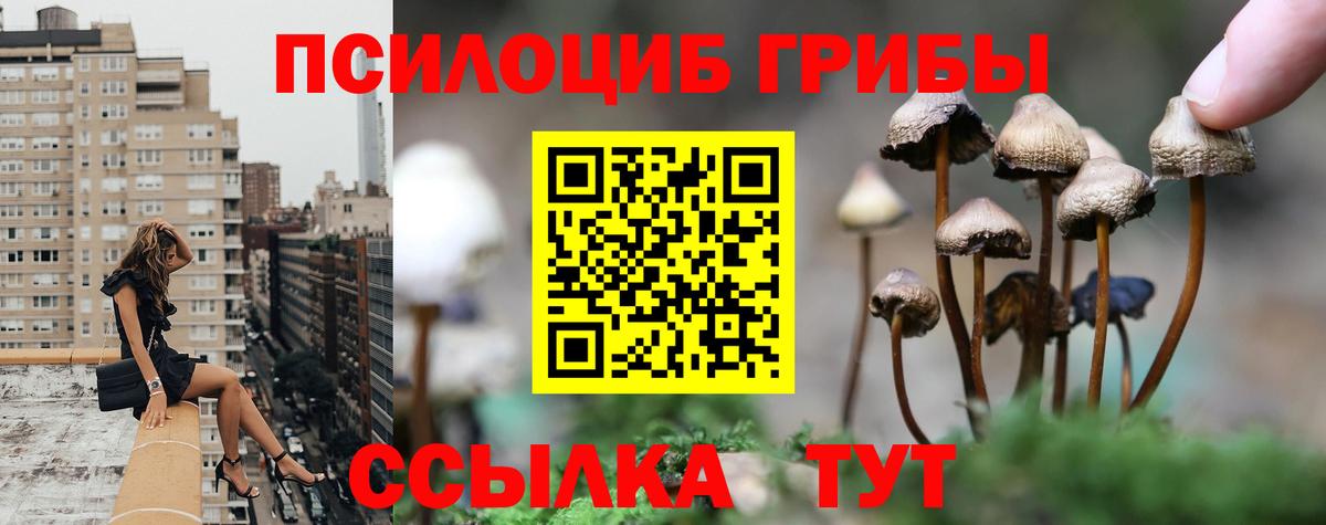 Избербаш  Галлюциногенные грибы ЛСД  где найти наркотики  Вход с VPN 